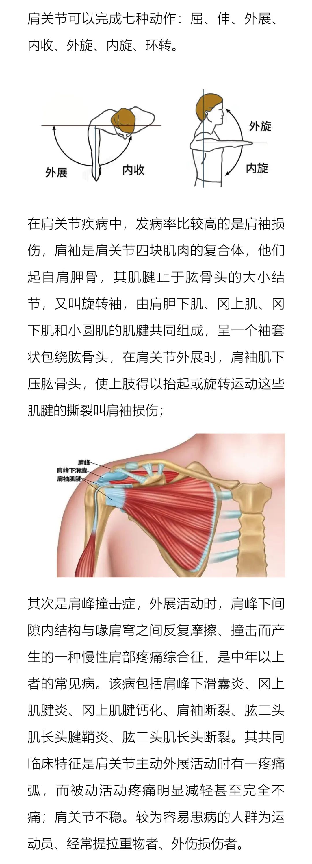 Physio 2