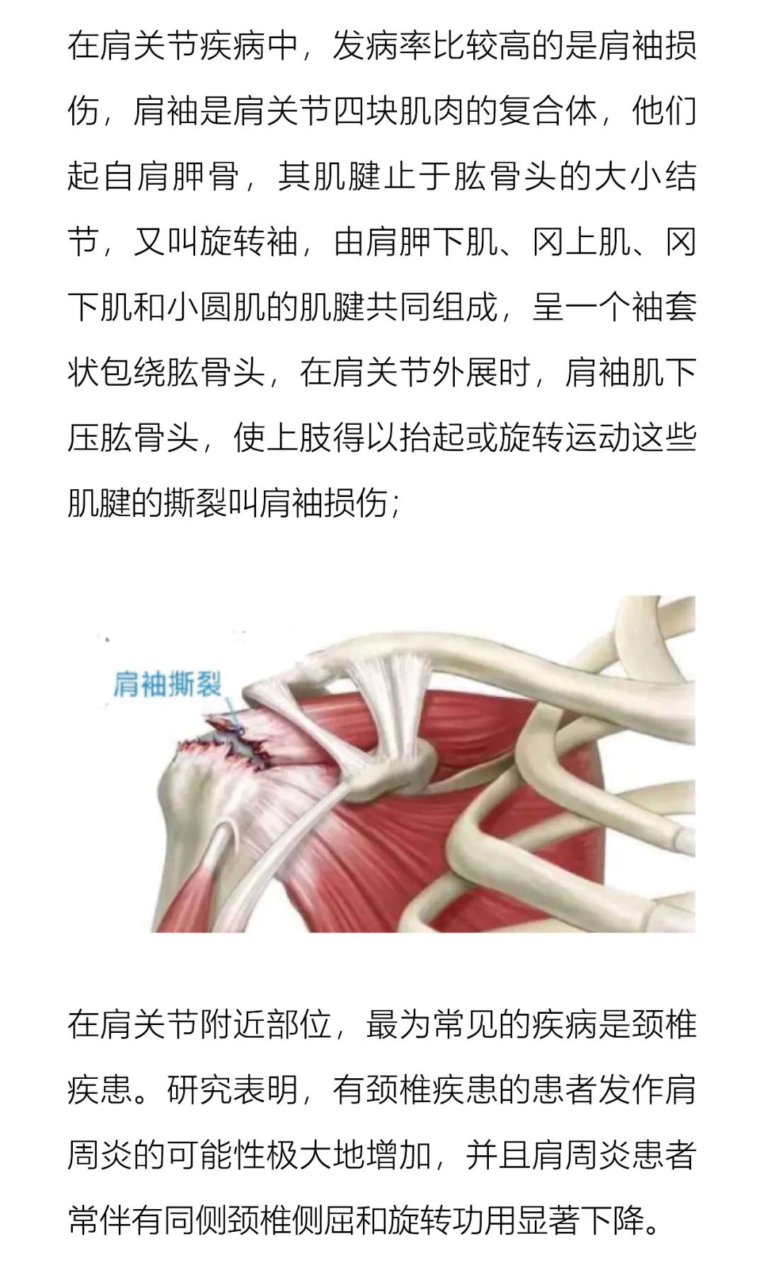 Physio 3